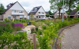 Stedelijke bijenoase in Weert