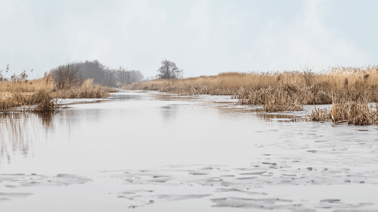 Grote delen van de rietlanden zijn alleen per boot bereikbaar