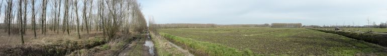 Natuurproject bij Geldermalsen