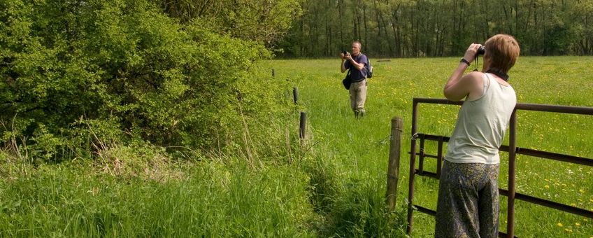 Heerlijk om vlinders en libellen te bekijken en heel nuttig als de waarnemingen ook worden doorgegeven