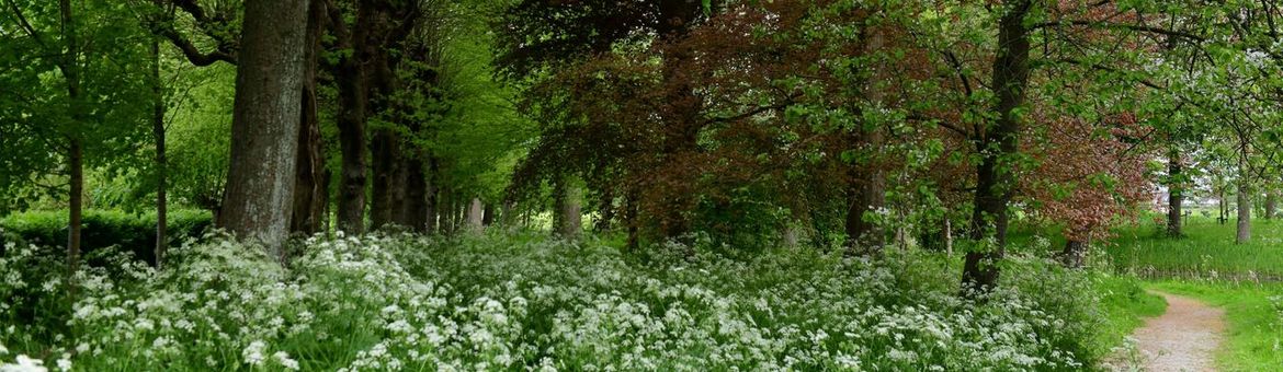 Stinzentuin Martenastate