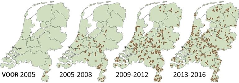 Verspreiding van de zwartvlekwinteruil in vier perioden