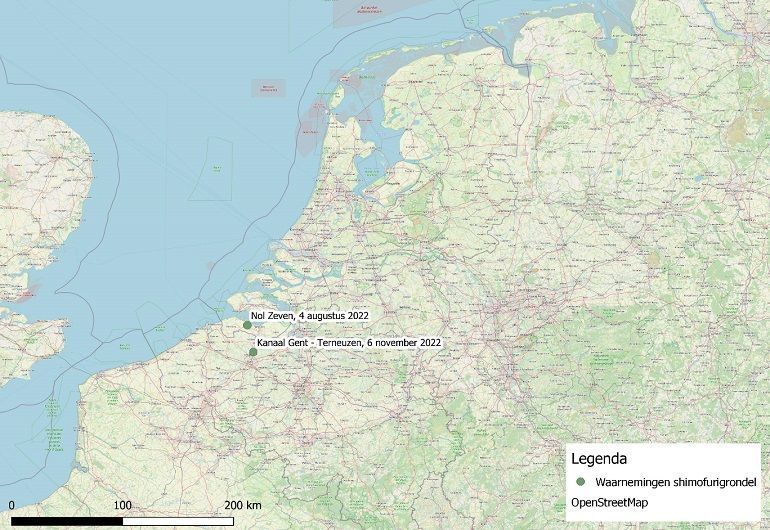 Figuur 1: waarnemingen van de shimofurigrondel in Nederland en Vlaanderen
