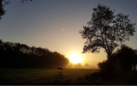 Ernst Oosterveld Coulisselandschap van de Noardlike Fryske Wâlden bij zonsopkomst in het voorjaar