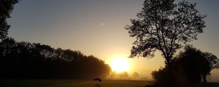 Coulisselandschap van de Noardlike Fryske Wâlden bij zonsopkomst in het voorjaar
