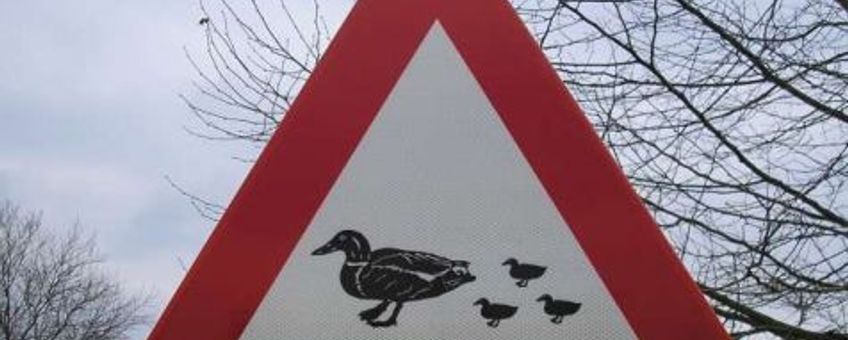 Overstekende eenden verkeersbord