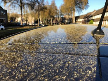 Enorme hoeveelheid pollen op dak van een auto op 27 februari 2021