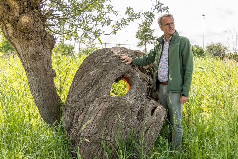 Wim Eikelboom