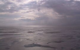 Waddenzee
Foto: Michielvd, Wikipedia, CCA-SA licentie