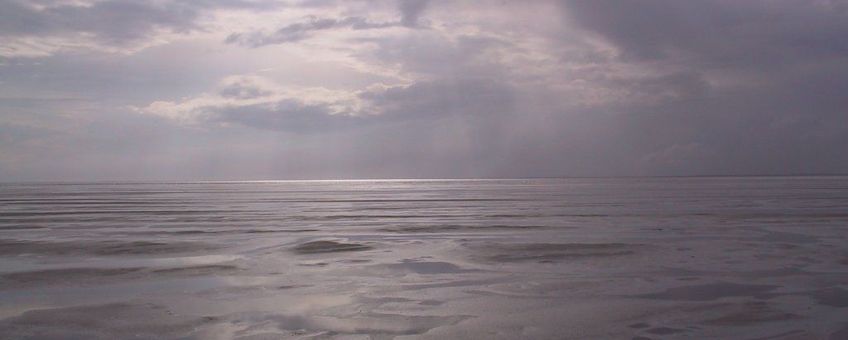 Waddenzee
Foto: Michielvd, Wikipedia, CCA-SA licentie