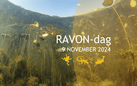 Blikonderwater, RAVON Banner RAVON-dag
