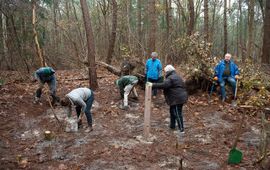 NatuurWerkgroep gemeente Rucphen Leden van de NatuurWerkgroep gemeente Rucphen leggen een kloemp aan - eenmalig gebruik