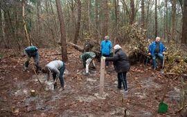 Leden van de NatuurWerkgroep gemeente Rucphen leggen een kloemp aan - eenmalig gebruik