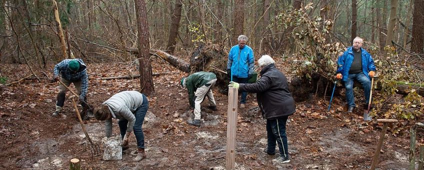 Leden van de NatuurWerkgroep gemeente Rucphen leggen een kloemp aan - eenmalig gebruik