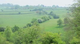 Een groen heuvellandschap in Zuid-Limburg met landbouwgrond en natuurlijke elementen