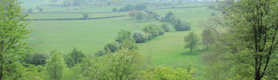 Een groen heuvellandschap in Zuid-Limburg met landbouwgrond en natuurlijke elementen
