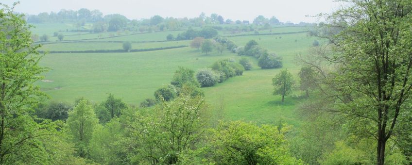 Een groen heuvellandschap in Zuid-Limburg met landbouwgrond en natuurlijke elementen