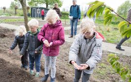 Marjan van Houwelingen Eerdere editie van het zaaien van het bloemenlint