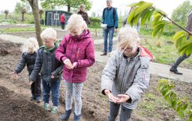 Eerdere editie van het zaaien van het bloemenlint