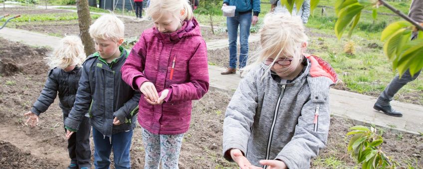 Eerdere editie van het zaaien van het bloemenlint