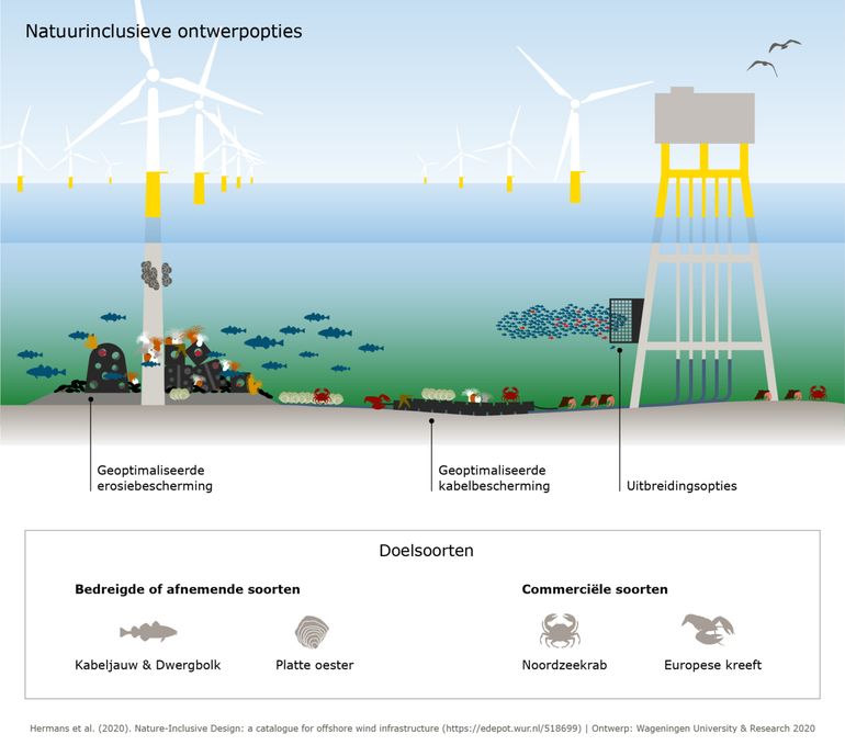 Natuurinclusieve ontwerpopties