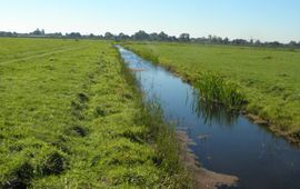 Luc Hoogenstein, Natuurmonumenten Naardermeer