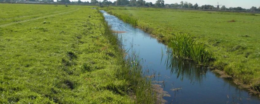 Naardermeer