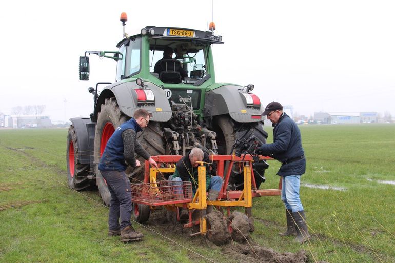 Aanplant agroforestry op Dairy Campus