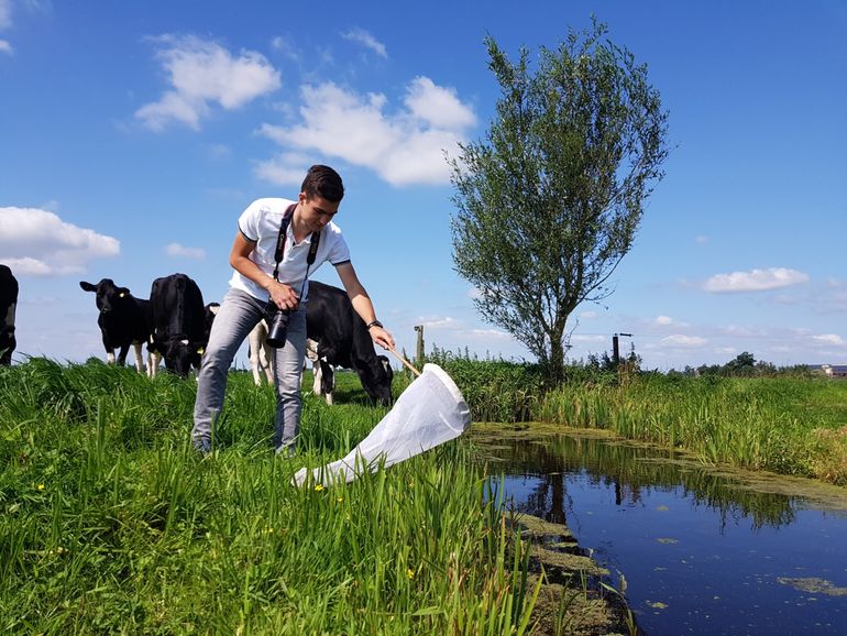Jacob Molenaar aan het werk in het veld