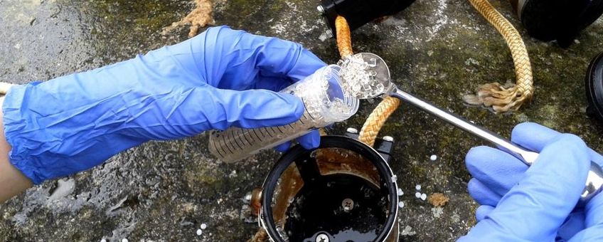 Extraction of the incubated plastic particles.