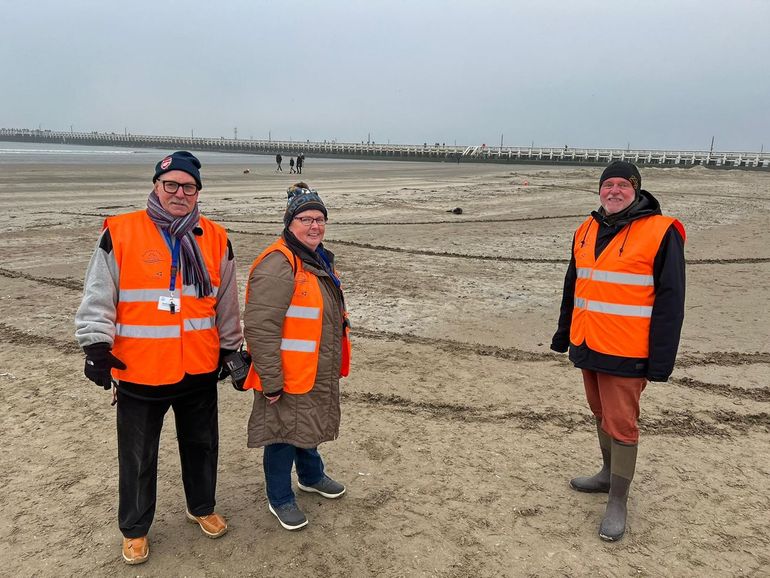 Vrijwilligers van het NorthSealTeam zijn herkenbaar aan hun fluoriserende hesjes en waken dag en nacht bij de rustende zeehonden