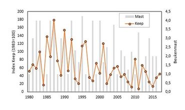 Aantalsverloop (met TRIM berekende index) van overwinterende kepen in Nederland (situatie eind december 1980-2017, PTT). Op de achtergrond is de beukenmast weergegeven, in categorieën tussen 1= geen mast en 5= maximale mast