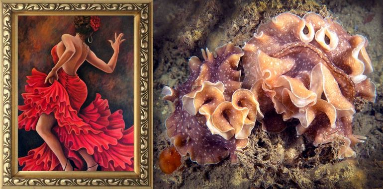 Het is niet moeilijk te begrijpen waarom zo veel mensen aan een Flamenco-jurk (links) moesten denken bij het zien van de nieuwe platworm (rechts) met al zijn plooien en ruches