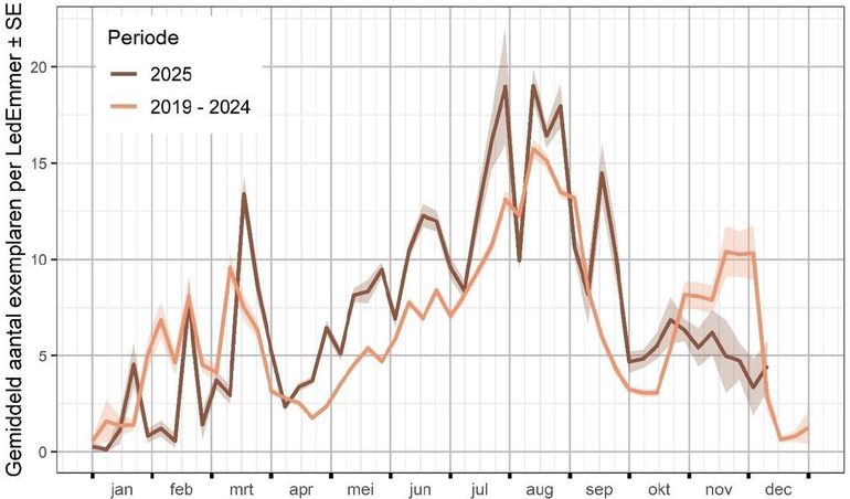 Vliegtijdgrafiek van 2025 (donkere lijn) in vergelijking met het gemiddelde over de periode 2019-2024 (lichte lijn). Om de aantallen tussen de jaren goed te kunnen vergelijken is enkel de data van de LedEmmers gebruikt