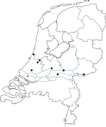 Huidige buitenpopulaties (zwarte stippen) en een oude vondst en binnenmeldingen (grijze stippen) van het Mediterraan draaigatje