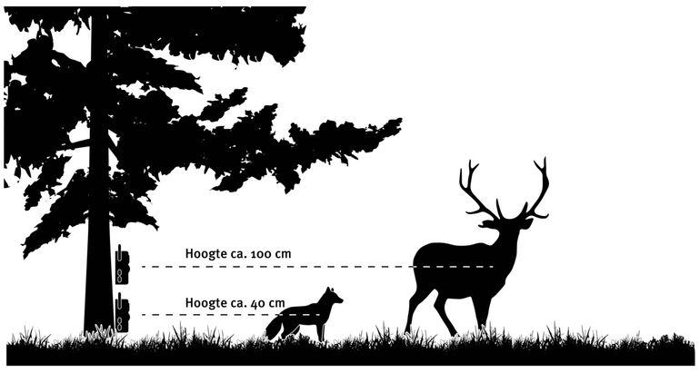 Bevestig de wildcamera op ongeveer de romphoogte van de diersoort waar de focus op ligt