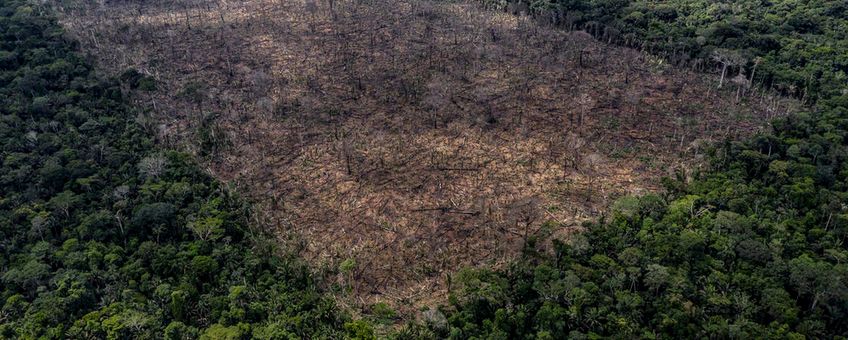 Ontbossing in de Amazone