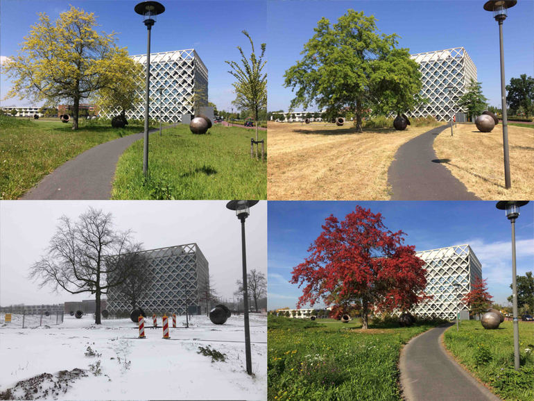 Moseiken in vier seizoenen op de campus van Wageningen University