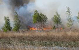 Brand in de Deurnsche Peel april 2020