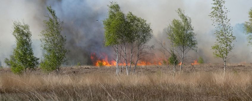 Brand in de Deurnsche Peel april 2020