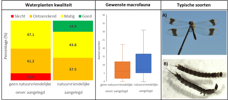 Verschillen tussen trajecten met en zonder een aangelegde natuurvriendelijke oever in sloten en kanalen voor de waterplantenkwaliteit (linker paneel), het aantal gewenste soorten in natuurvriendelijke oevers (midden paneel) en twee typische soorten voor zulke natuurvriendelijke oevers met bandheidelibel (A) en larven van de meniscusmug (B) (rechter paneel)