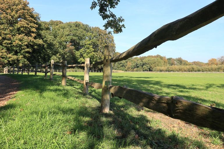 Landgoed De Horsten. Landbouwbedrijven die al hebben gekozen voor zelfrealisatie zijn vaak onderdeel van landgoederen, of hebben de stap al gezet naar biologische landbouw of alternatieve verdienmodellen