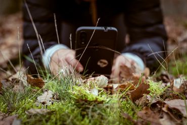 De vernieuwde versie van ObsIdentify herkent 22.303 Nederlandse wilde dieren en planten