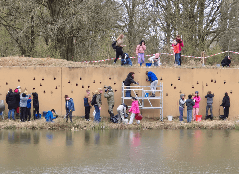 Werkdag aan de oeverzwaluwwand: de leerlingen helpen met opschonen, snoeien en opruimen. Daarna worden alle nestgaten gevuld met schoon leemzand, zodat de oeverzwaluwen bij terugkomst in april weer nieuwe nestgangen kunnen graven