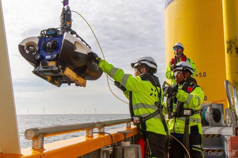 Met deze onderwaterdrone filmen onderzoekers het bodemleven in windparken