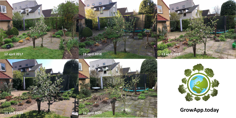 Verschil in snelheid bloesemontwikkeling appelboom in de jaren 2017 tot en met 2021. Dit jaar is het laatste jaar uit de reeks