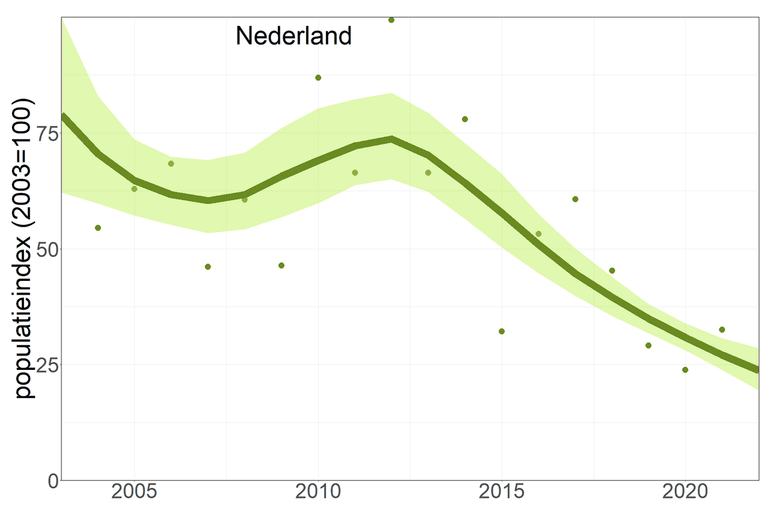 Landelijke trend van de groene glazenmaker