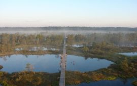 Een intact hoogveen in Estland