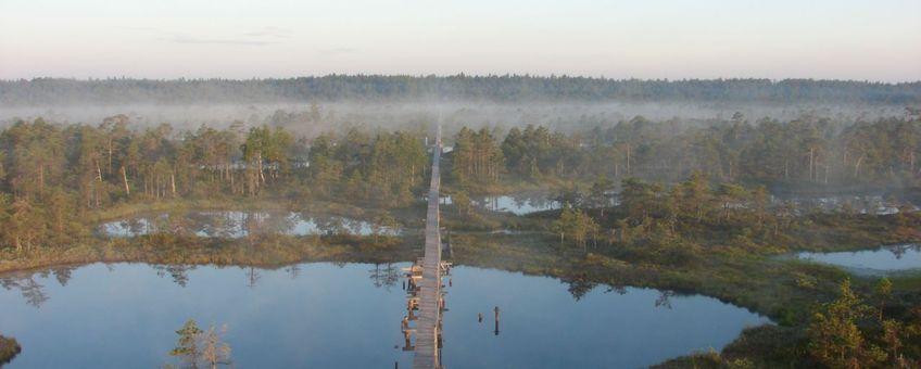 Een intact hoogveen in Estland