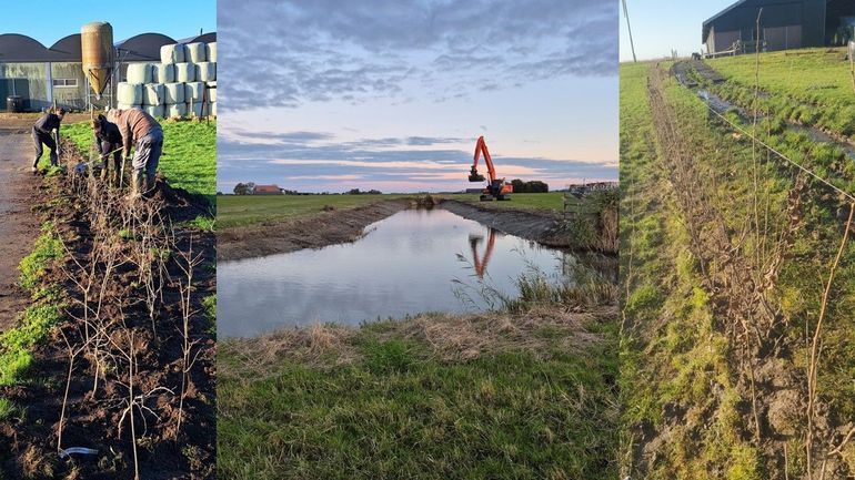 Impressie van de werkzaamheden in Frysl&acirc;n